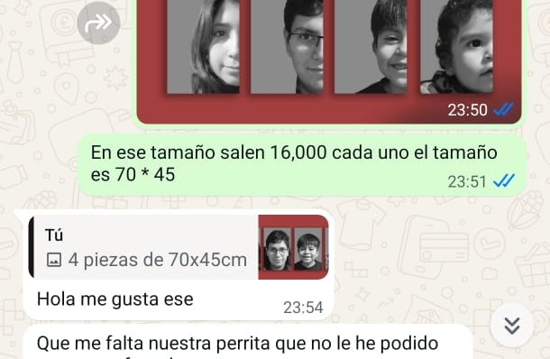 Conversación por WhatsApp